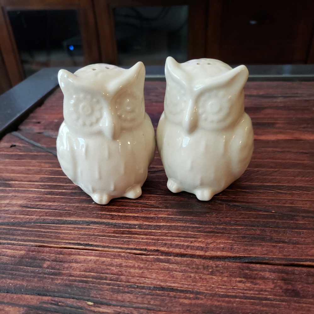 Owl salt and pepper shakers